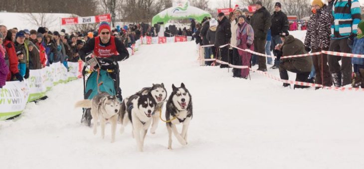38 Jahre Schlittenhunderennen in Clausthal-Zellerfeld