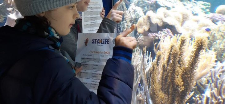 Fischinventur im SEA LIFE Speyer