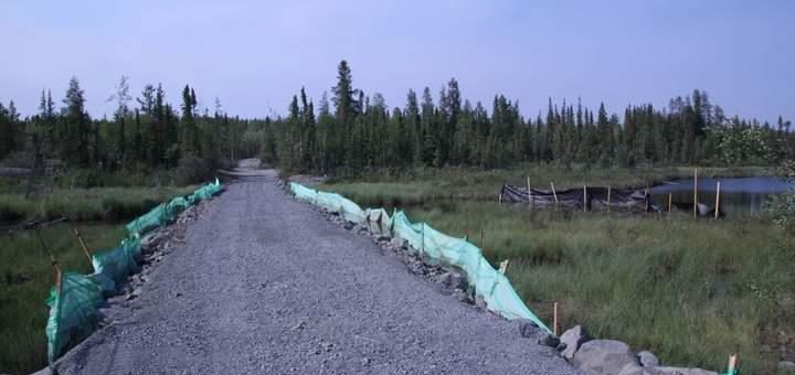 2020 – Aktien werden gewinnen