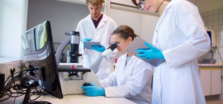 Neues Fernstudienangebot: Medizinische Biotechnologie (B. Sc.)