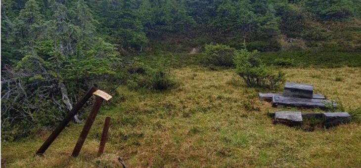 Skeena und White Gold glänzen mit hervorragenden Bohrergebnissen