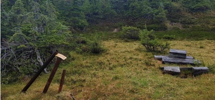 Skeena Resources – mit solchen Ergebnissen hat niemand gerechnet