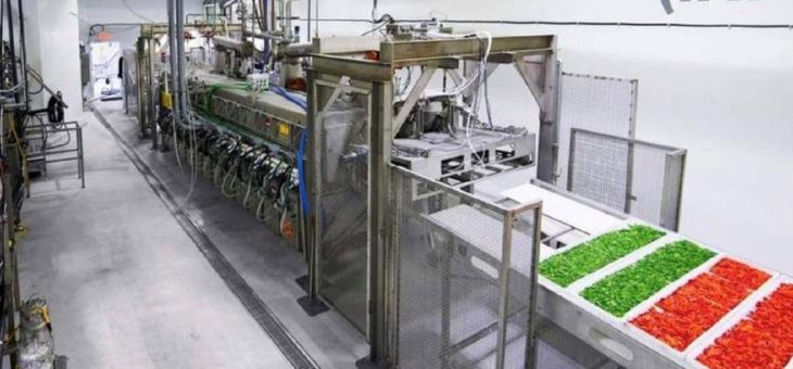 EnWave: Intensivierung des Pharma-Deals und Expansion nach Kolumbien