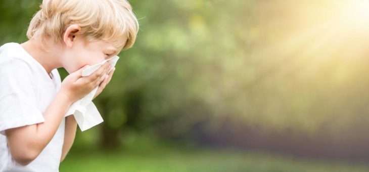 Kurzkettige Fettsäuren als „Schutzschild“ gegen Allergien?