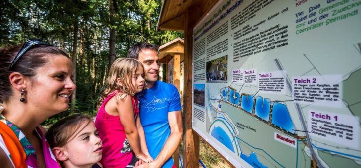 „Karpfen-Watching“ in der Oberpfalz: Auf Du und Du mit „Cyprinus carpio“