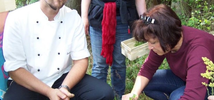 „Aroma-Explosion“ von Wald und Wiese mit Gänseblümchen-Käsekuchen und Vogelbeereis