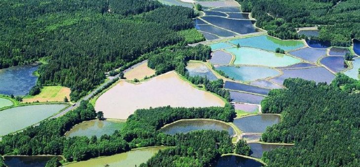 „Klein-Finnland“ in der Oberpfalz