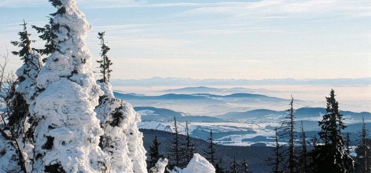 Zauberhaftes Ostbayern: Wandern im „Winterwunderland“