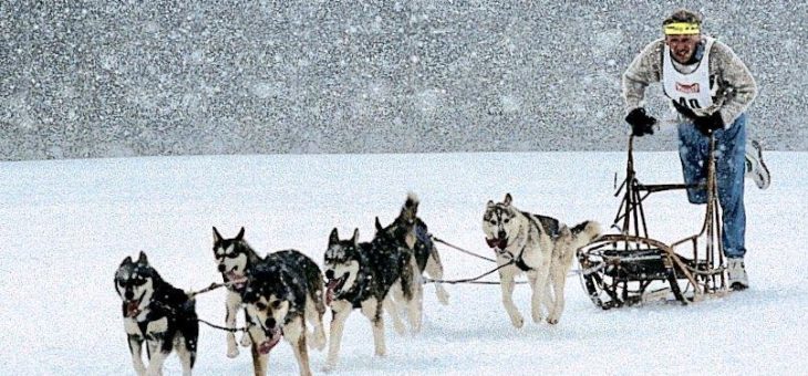 Urlaub mit „Eskimo-Feeling“
