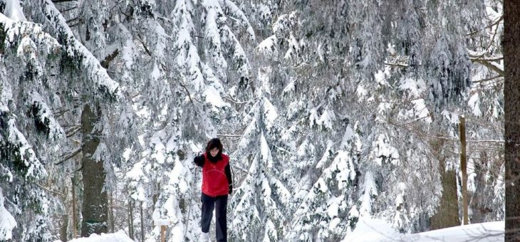 2.000 Kilometer Loipen-Spaß in Deutschlands Langlauf-Paradies