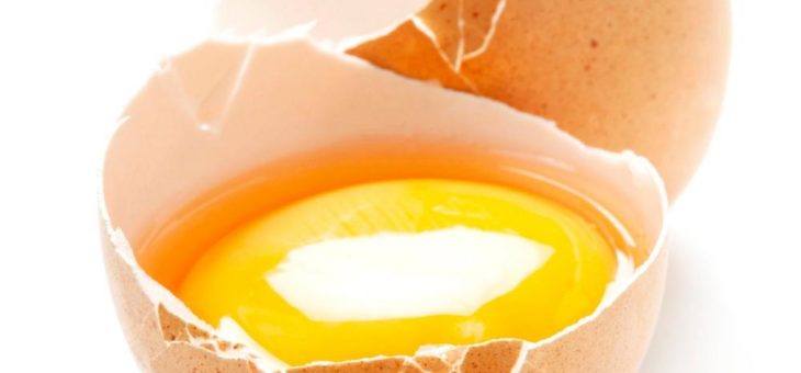 Propionat: Natürlicher „Schutzschild“ gegen Salmonellen