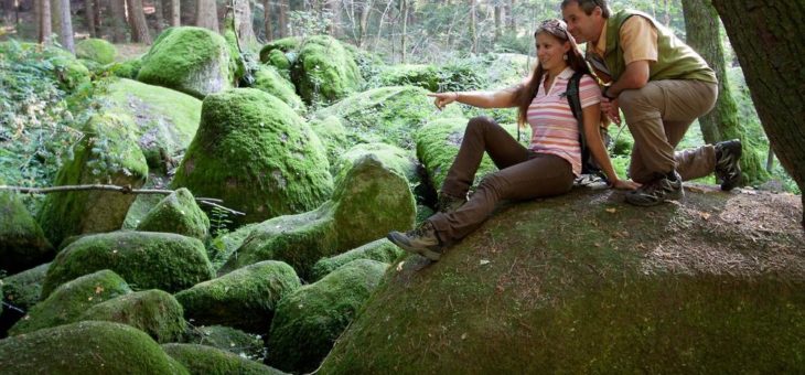 Im Oberpfälzer Wald begeistern Kraftberge und Energietäler