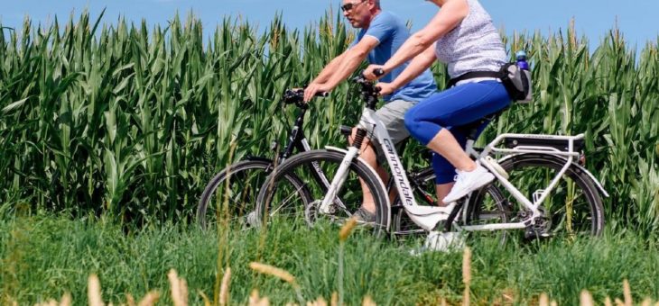 Entspannt durch den Herbst radeln