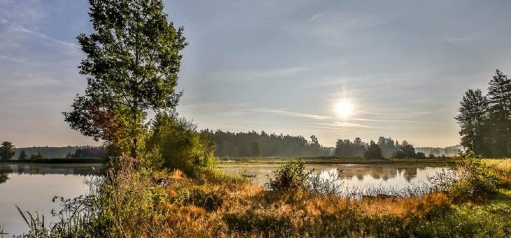 Oberpfälzer Wald in Bayern: Wandern in den Goldenen Herbst – am schönsten dort, wo Goldene Straße und Goldsteig sich kreuzen