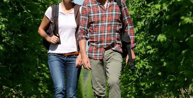 Start der Hopfen-Ernte: Bayerns „grünes Gold“ ist ein Touristen-Renner