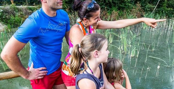 Innovativer Urlaubstrend aus Ostbayern: „Karpfen-Schauen“ statt „Whale Watching“