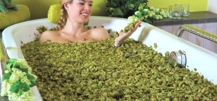 Bad Gögging: „Bier-Wellness“ in der Heimat des „Grünen Goldes“