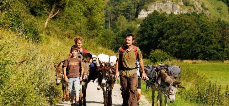 Neu in Ostbayern: Auf dem Rücken des Esels das Glück dieser Erde entdecken