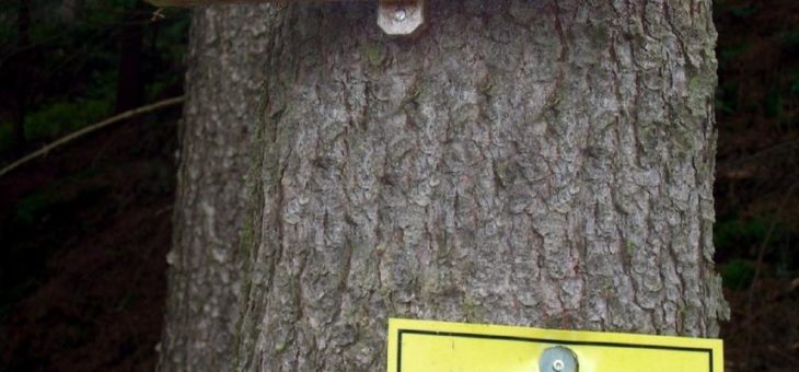 Zu Fuß durch die „Hölle“
