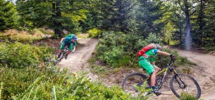 Der Bayerische Wald: Neuer Top-Hotspot für Deutschlands Mountainbiker