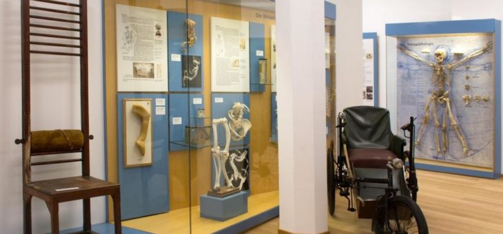 Ein Novum in der deutschen Museumslandschaft: Wiedereröffnung des Deutschen Orthopädiemuseums in Frankfurt