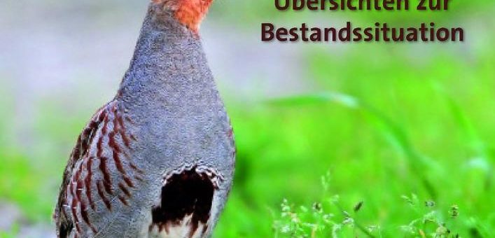 Die Vogelwelt in Deutschland:Schwund im Offenland hält an – Bestandszunahmen im Wald