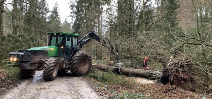 Nach Sturmtief „Sabine“