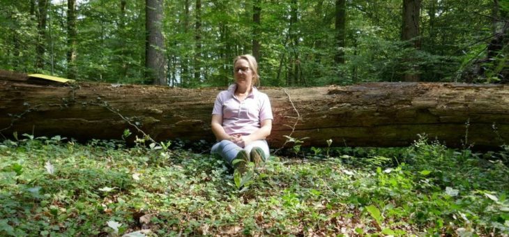 Forum Natur und Gesundheit: Der Wald bewegt…