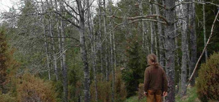 Auf dem Weg zum Mann sein