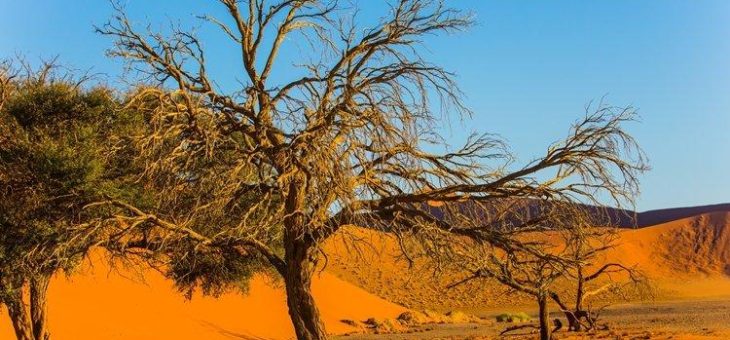 Osino Resources entwickelt erstes 3D Modell für Twin Hills-Lagerstätte