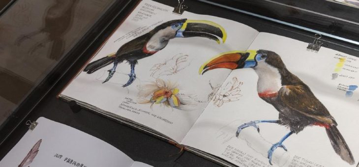 Präsentation anlässlich Ausstellungsende zeigt Zeichnungen von Besuchern