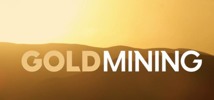 H.C. Wainwright erhöht Kursziele für Gold und GoldMining
