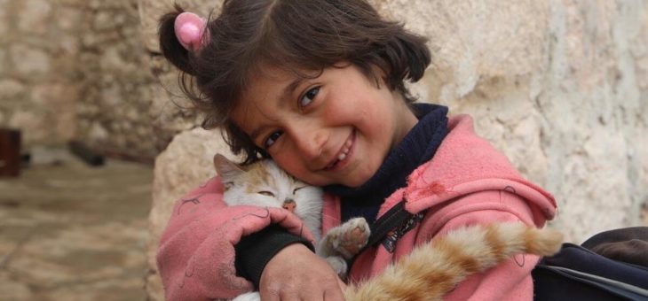 Satellitenbilder von Idlib zeigen Ausmaß von Zerstörung und Vertreibung