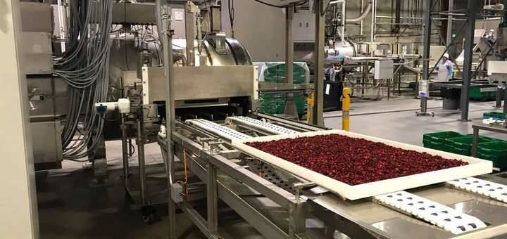 Die weltweite Ernährung sichern