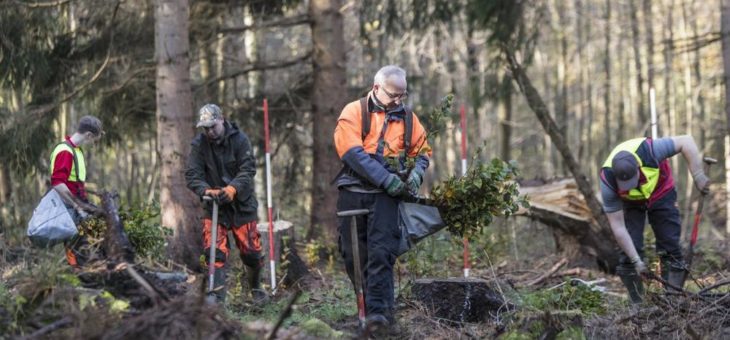 Niedersächsische Landesforsten: Rück- und Ausblick zum Internationalen Tag der Wälder am 21. März