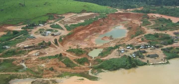 Gute Goldgesellschaften trotzen auch Corona