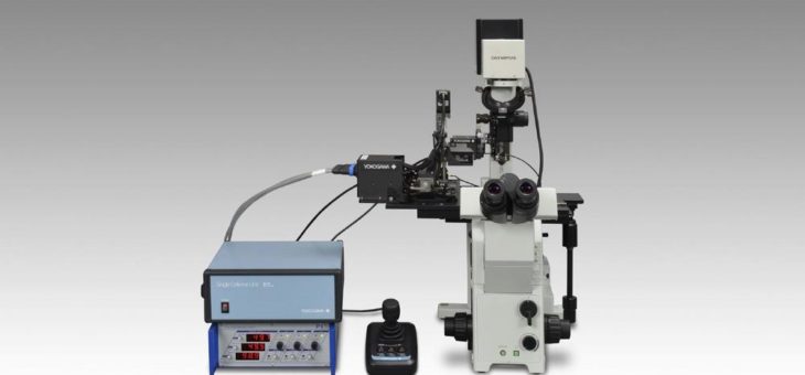 Intelligente Zelltechnologie: Yokogawa entwickelt „SU10 Single Cellome™“-Instrument