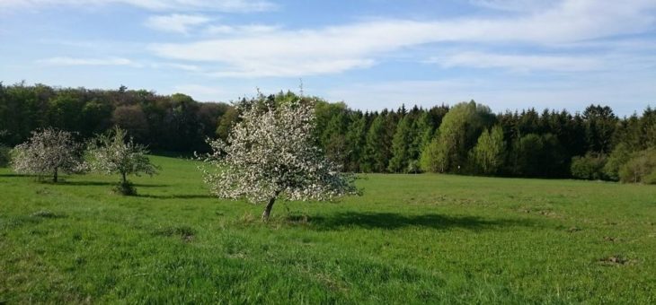 Geo-Naturpark Bergstraße-Odenwald: Tipps zum Natur erleben, Internet-Plattform für Familien und Kinder zum Entdecken, Selbermachen und Lernen