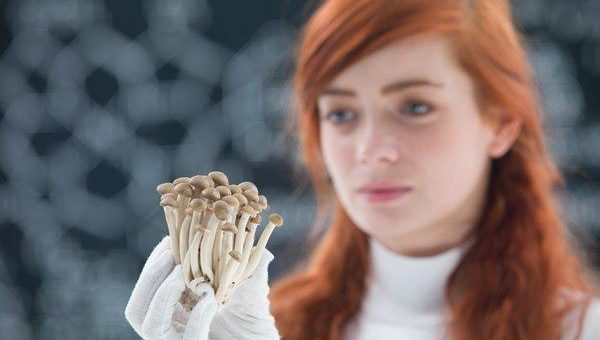 Champignon Brands sichert sich herausragende Expertise