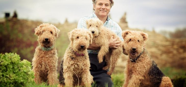 Zwei Elefanten sind auf dem Weg in den Schlosspark Dennenlohe