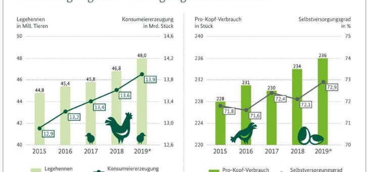Mehr Eier aus heimischer Produktion
