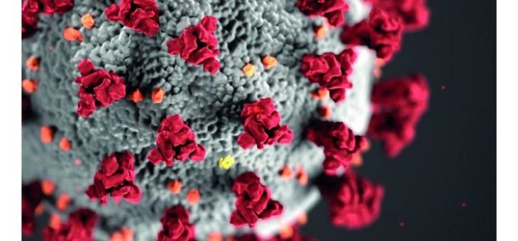 Deutsche Herzstiftung stellt 1 Million Euro für Forschung zur Bekämpfung des SARS-CoV-2 Virus zur Verfügung