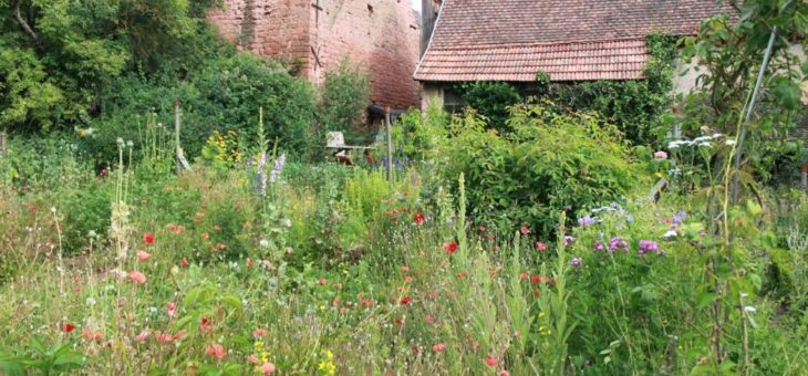 Frist für Teilnahme am Garten-Wettbewerb verlängert – jetzt bis 26. April möglich