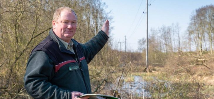 Neue Trassengestaltung im Wald macht Stromversorgung sicherer