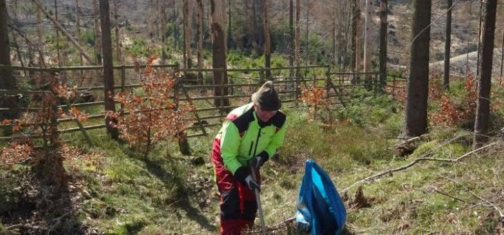 Pflanzen im Nationalpark Harz trotz Corona