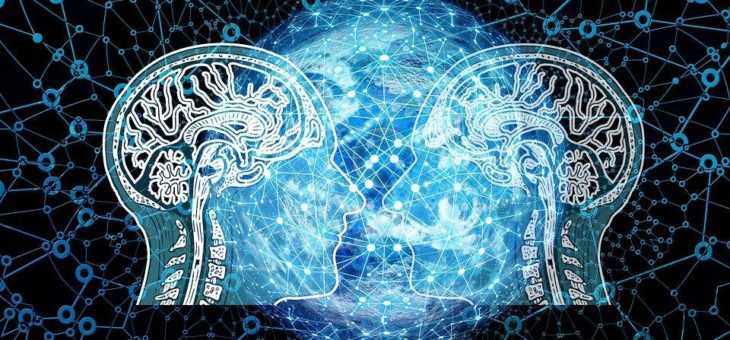 New-Domains in der Limited Registration Period vor anderen registrieren.