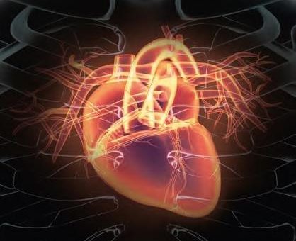 HERZWOCHEN 2020 – Das schwache Herz