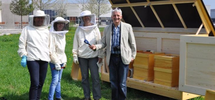 Jahr der Bienen in aller Ohren