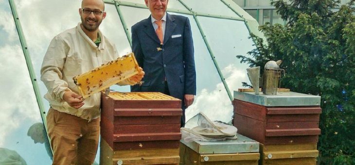 Best Western Hotels setzen sich  für Bienen ein