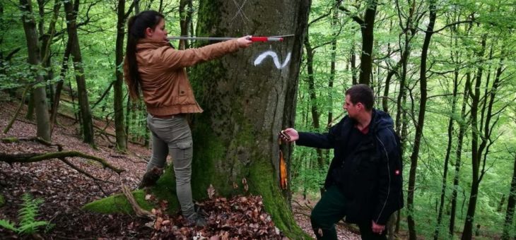 Bewerbungsfrist für FÖJ im Biosphärenreservat verlängert